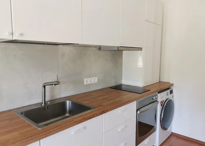 Ronzes Apartamentai Apartman